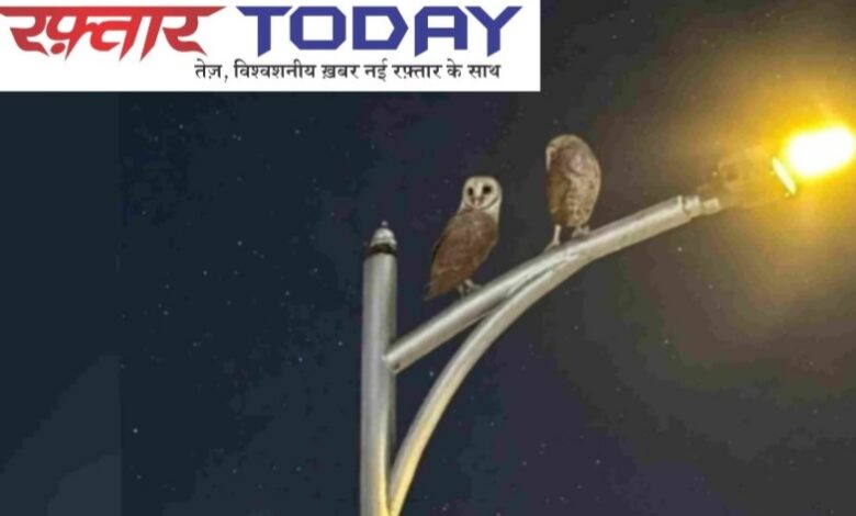 Breaking News : ग्रेटर नोएडा वेस्ट में उल्लू का आतंक, तीन दिन में 4-5 लोगों पर हमला; रात में घर से निकलने में डर रहे निवासी, छिपने की संभावित जगहों को किया गया ट्रेस, पकड़ने के बाद सूरजपुर वेटलैंड में छोड़ने की तैयारी