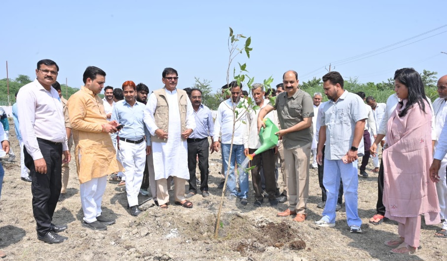 Greater Noida News: यमुना प्राधिकरण की ग्रीन बेल्ट में वृहद पौधरोपण, 50 मीटर चौड़े क्षेत्र में बढ़ेगी हरियाली, प्राधिकरण के ACEO राजेश कुमार व GM राजेंद्र भाटी रहे मौजूद 