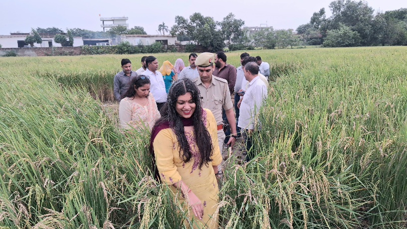 DM Medha Roopam News: गिरधरपुर के खेत में अचानक पहुंचीं डीएम मेधा रूपम, धान की क्रॉप कटिंग का निरीक्षण; 10.805 किलो उपज दर्ज, किसानों को दिए निर्देश