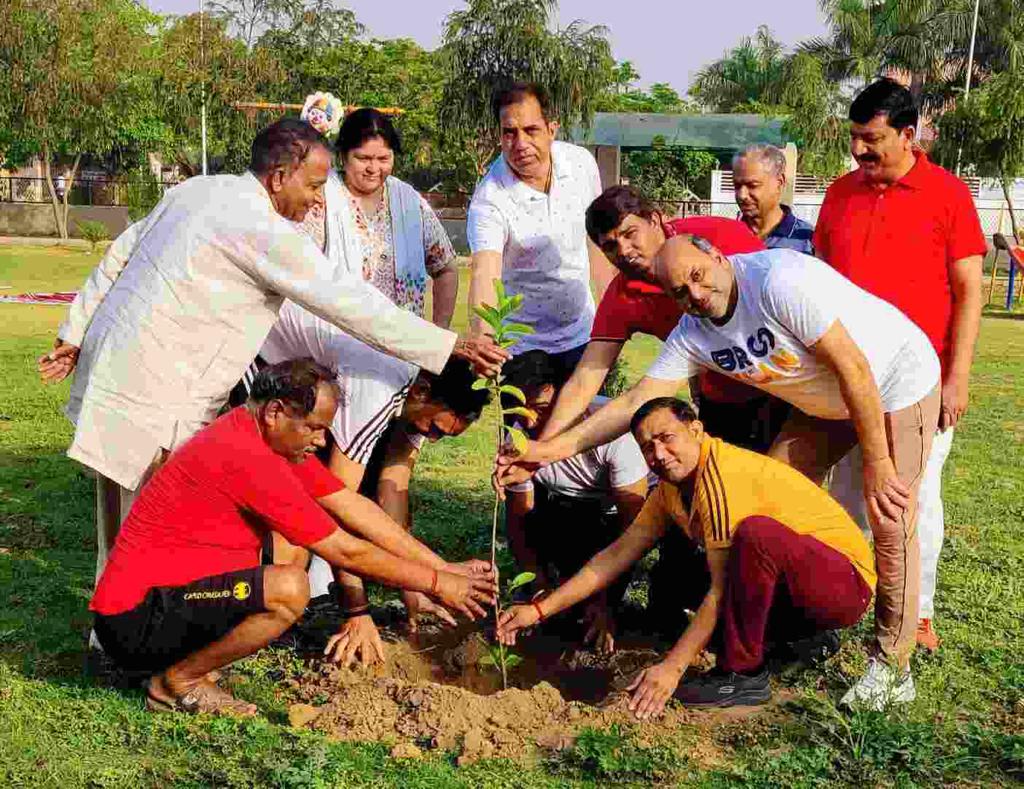 बिना वृक्षों के जीवन असंभव,जीवन हेतु करें पौधारोपण - आलोक नागर