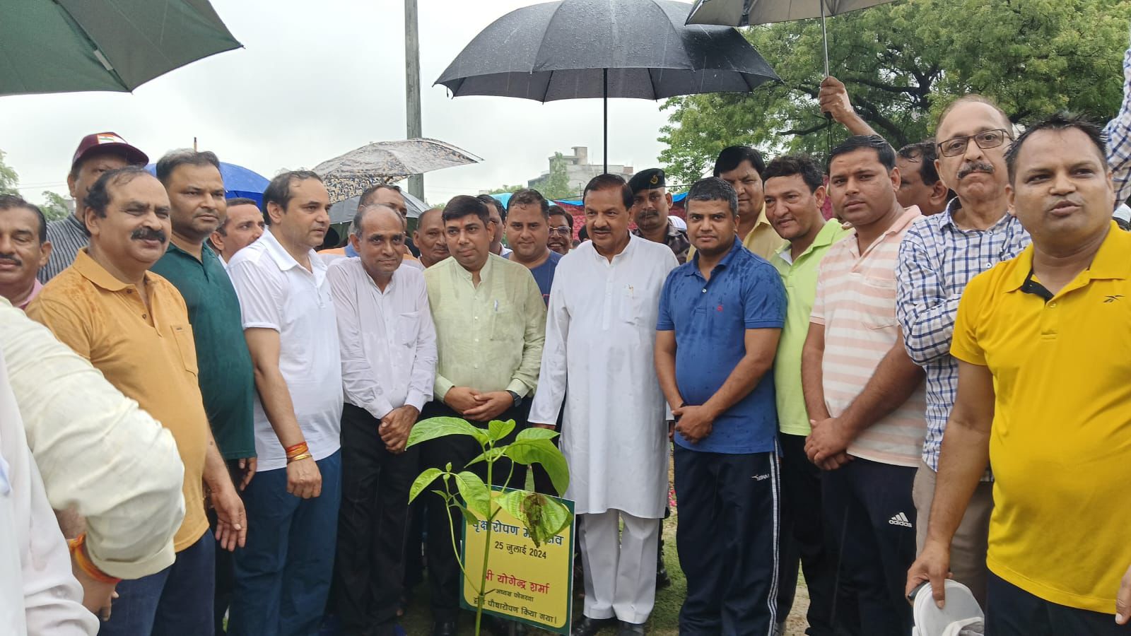 Noida News: पेड़ लगाओ, जीवन बचाओ, नोएडा फोनरवा के अनोखे अभियान में सांसद डॉ. महेश शर्मा ने लगाए पौधे, बोले- "प्रकृति से जुड़ो"