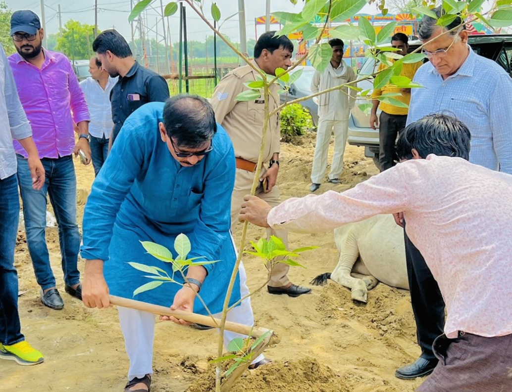 Jewar News: पेड़-पौधों का महत्व, पर्यावरण संतुलन के लिए पेड़ों की जरुरत, जेवर विधायक धीरेन्द्र सिंह का पर्यावरण संतुलन पर जोर #RaftarToday