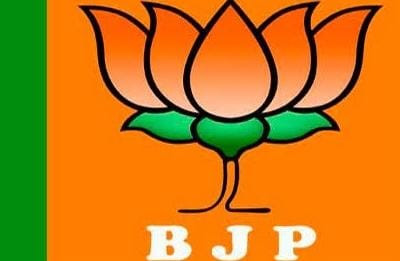 विभाजन विभीषिकादृ स्मृति दिवस मनाएगी भाजपा