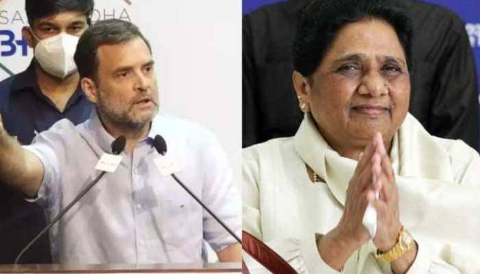 मैंने मायावती को मुख्यमंत्री का प्रपोजल बोल दिया, लेकिन बीजेपी के डर (ईडी व इनकम टैक्स) से मायावती ने कोई रिप्लाई नहीं किया – राहुल गांधी