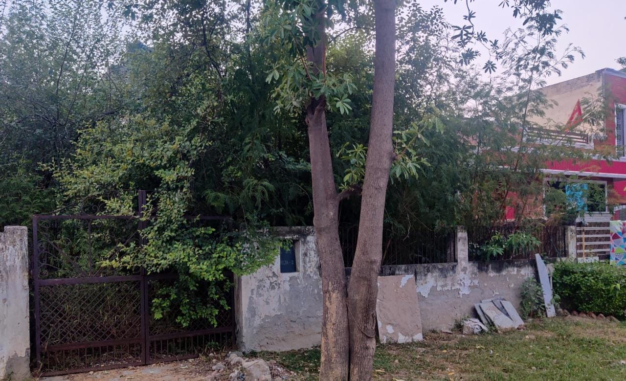 सेक्टर डेल्टा टू के बन्द पड़े खाली प्लॉटों में उगी बड़ी बड़ी झाड़ियां जंगल में तब्दील हो चुके प्लॉट आए दिन निकल रहे हैं सांप बिच्छू बराबर मकान में रह रहे परिवारों में दहशत