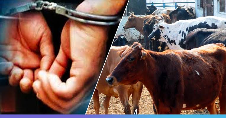 उत्तराखंड में गाय के साथ रेप करते हुए पकड़ा गया JCB ड्राइवर आलम अंसारी, लोगों ने पकड़ कर पुलिस को सौंपा