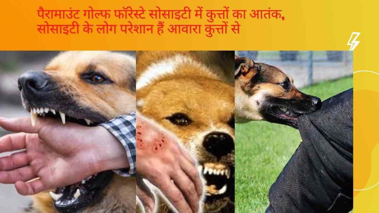पैरामाउंट गोल्फ फॉरेस्टे सोसाइटी में आवारा कुत्तों से परेशान होकर लिखा मेंटेनेंस टीम (JLL) और बिल्डर को पत्र