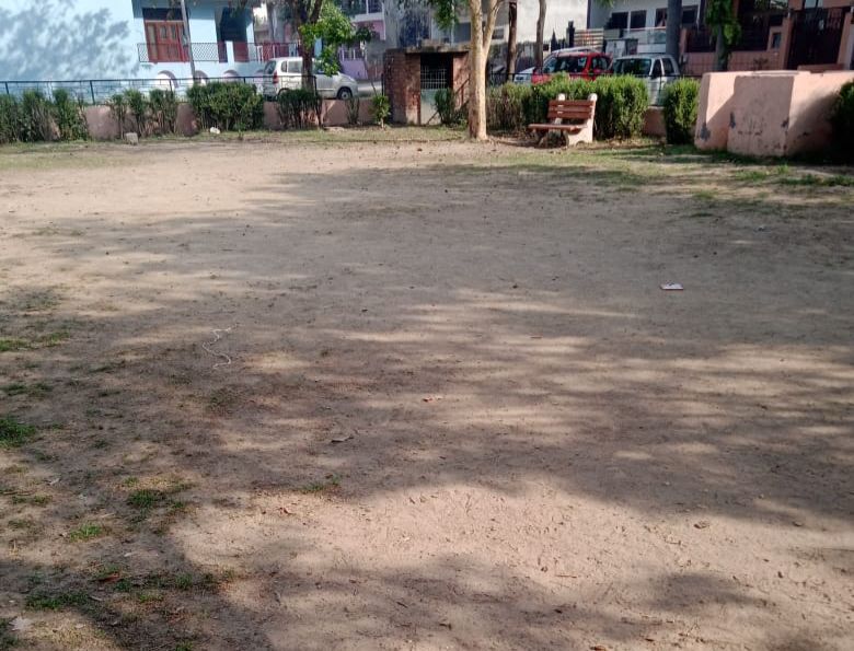 भीषण गर्मी में बिना पानी के पेड़ों की ग्रीन बेल्ट और पार्को की हालत खस्ता - आलोक नागर