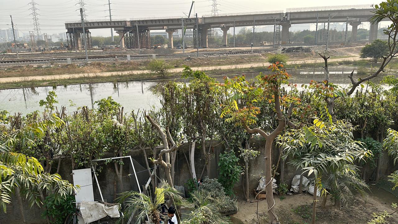मच्छरों का आतंक, पैरामाउंट सोसायटी के बाहर पानी भरा हुआ, सोसायटी वासियों ने मुद्दा JLL और पैरामाउंट बिल्डर के खिलाफ उठाया