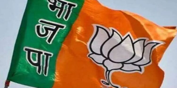 UP Politics : भाजपा प्रदेश संगठन में होने जा रहा बड़ा बदलाव