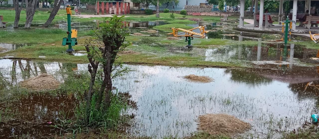 सेक्टर डेल्टा टू पार्क में पिछले दिनों हुई बारिश की वजह से जो पानी भरा हुआ था वह अभी भी भरा है