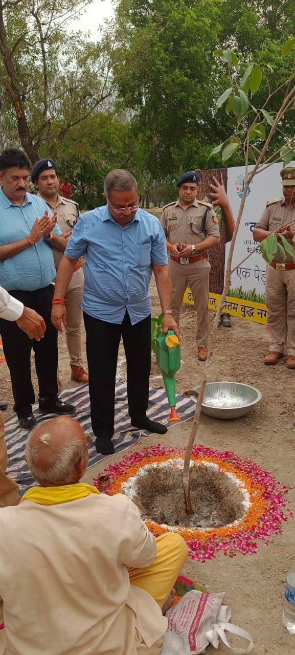 Greater Noida News: सूरजपुर वेटलैंड में वन महोत्सव 2024 का आयोजन किया गया