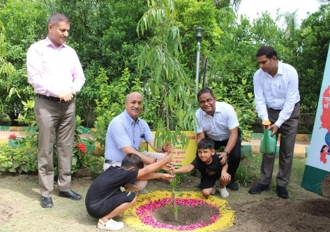 Noida Authority News : 