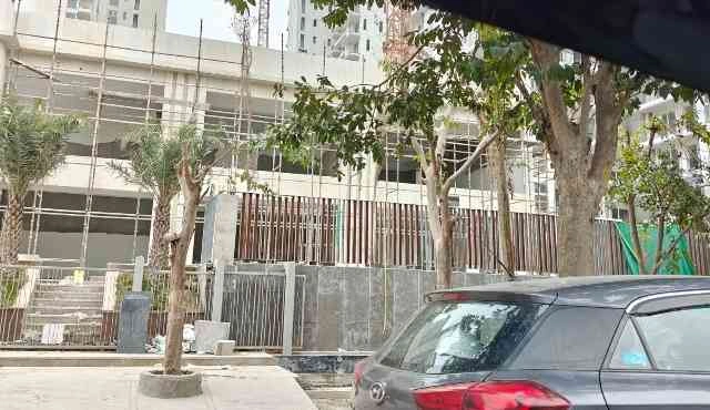 Noida ACE Builder News : बिल्डर के कर्मचारियों ने काटे पेड़, करप्शन फ्री इंडिया संगठन ने जताया विरोध, जिलाधिकारी से की शिकायत