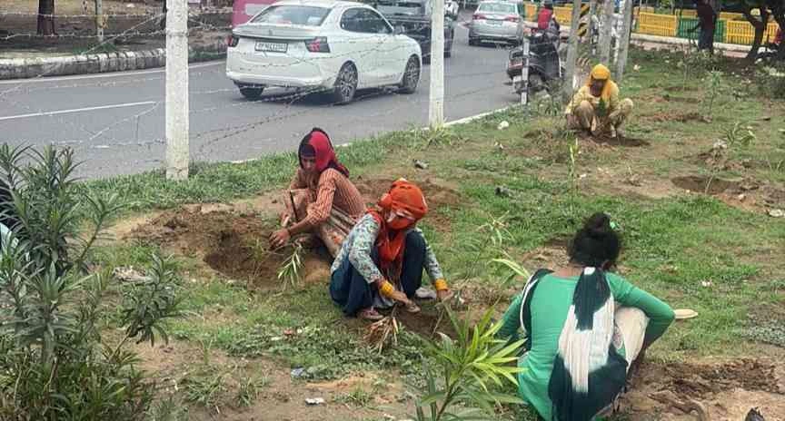 Greater Noida News : “अब फोटोबाजी नहीं, जिम्मेदारी चाहिए!”, ग्रेटर नोएडा में पेड़ों की देखरेख पर सवाल, हरेंद्र भाटी ने उठाई आवाज – ‘एक पेड़ माँ के नाम’ ना बने मज़ाक, राजनेता, शासन-प्रशासन को भी आईना, ''कचनार मार्ग” — जो था एक हरित सपना, अब बन रहा है ‘मौन गवाही’