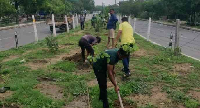 Greater Noida Authority News : "सूख गए थे पौधे, लेकिन नहीं सूखी उम्मीद!", ग्रेटर नोएडा प्राधिकरण ने दिखाई सजगता, जगत फार्म से प्राधिकरण रोटरी तक बदले गए सूखे पौधे, सीईओ NG रवि कुमार ने जैसे ही इस सूचना को संज्ञान में लिया, उन्होंने तत्काल निर्देश दिए