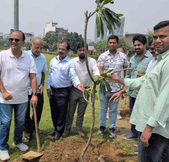 Greater Noida Authority News : ग्रेटर नोएडा में हरियाली का नया संकल्प, सेक्टर-2, सूरजपुर और श्मशान घाट में सैकड़ों पौधे लगाए गए, सेक्टर-2 में 100 से अधिक पौधे लगाए, सामाजिक कार्यकर्ता एडवोकेट अतुल शर्मा की भूमिका