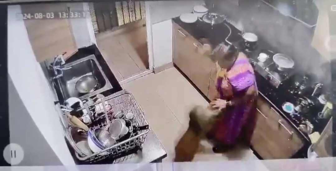 Greater Noida West News: ग्रेटर नोएडा वेस्ट की एटीएस हैप्पी ट्रेल्स सोसायटी में बंदर का अचानक हमला, किचन में खाना बना रही महिला सहमी