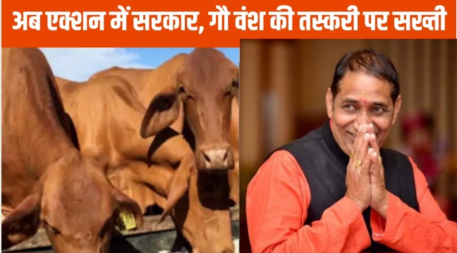 Dadri MLA News : गौमांस से भरे ट्रक पर बड़ी कार्रवाई, दादरी विधायक तेजपाल नागर की पहल से पुलिस ने पांच आरोपियों को गिरफ्तार, जांच समिति का गठन, दादरी विधायक की पहल अधिकारियों को निर्देश दिए कि जिले में सभी कोल्ड स्टोरेज और वेयरहाउस की जांच की जाए
