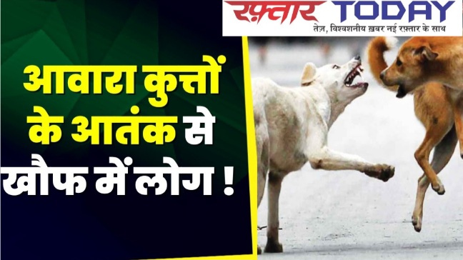 Greater Noida ATS Dolls News : ग्रेटर नोएडा एटीएस डॉल्स सोसाइटी में सिक्योरिटी की लापरवाही, आवारा कुत्तों का आतंक बढ़ा, निवासियों में आक्रोश, 18 वर्षीय ऋषभ पर आवारा कुत्ते का हमला, सुरक्षा पर सवाल