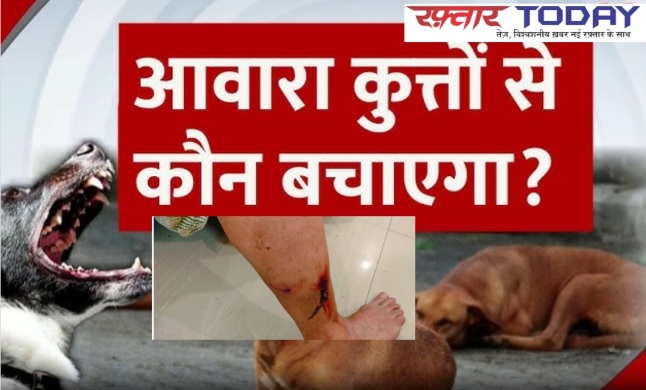 ACE Society News : ग्रेटर नोएडा वेस्ट ऐस सिटी के लोग थाने पहुंचे, आवारा कुत्तों से परेशान निवासियों ने लगाई प्रशासन से गुहार, बच्चों और बुजुर्गों की सुरक्षा पर संकट, कुत्ता प्रेमी और सुरक्षा कर्मियों के बीच टकराव