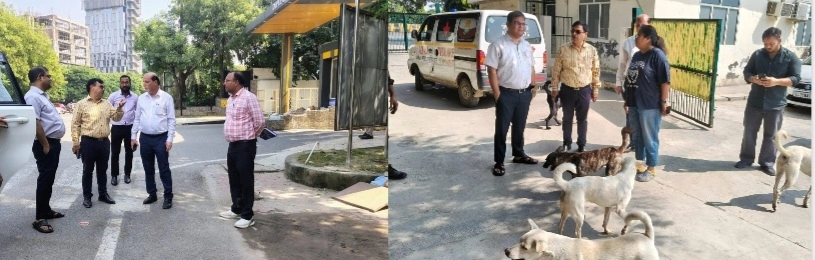 Noida Authority News : गौशाला से लेकर डॉग शेल्टर तक स्वच्छता और व्यवस्था पर “एक्शन मोड” में नोएडा प्राधिकरण, अपर मुख्य कार्यपालक अधिकारी श्री कृष्णा करुणेश ने दिए कड़े निर्देश, दिनभर चला निरीक्षण अभियान, एनिमल शेल्टर सेक्टर-94 में खत्म होगा जलभराव, बढ़ेगी सफाई व्यवस्था, वाजिदपुर में गार्बेज कलेक्शन सिस्टम पर नाराज़गी, जल्द बढ़ाई जाएंगी गाड़ियां