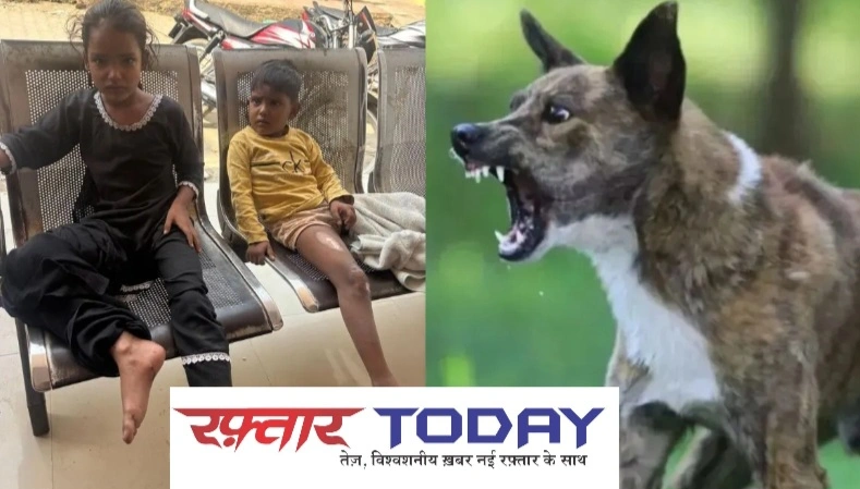 Braking Crazy Dog News : “नोएडा के इस गांव में पागल कुत्ते का आतंक!, घरों में कैद हुए लोग, पांच को बनाया शिकार, एक की हालत गंभीर, प्रशासन से मांगी मदद”, गांव में छाया डर, गलियां सूनी और बच्चे घरों में कैद, सफदरजंग अस्पताल तक पहुंचा मामला, माओं की चिंता बढ़ी — बच्चे स्कूल जाने से डर रहे