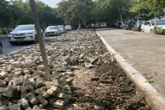 Greater Noida News: पेड़ों की जड़ों तक मिली इंटरलॉकिंग, बिना देरी के होगी कार्रवाई, NGT ने ग्रेटर नोएडा प्राधिकरण का सख्त निर्देश