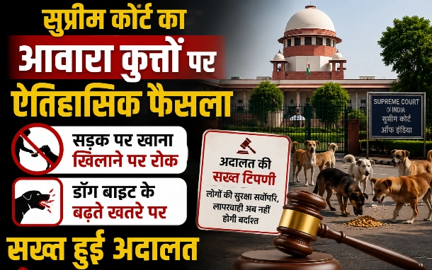 Supreme Court News : “अब गली-मोहल्लों में नहीं चलेगी मनमानी!”, सुप्रीम कोर्ट का आवारा कुत्तों पर ऐतिहासिक फैसला — सड़क पर खाना खिलाने पर रोक, डॉग बाइट के बढ़ते खतरे पर सख्त हुई अदालत, नगर निगमों को दिए बड़े आदेश