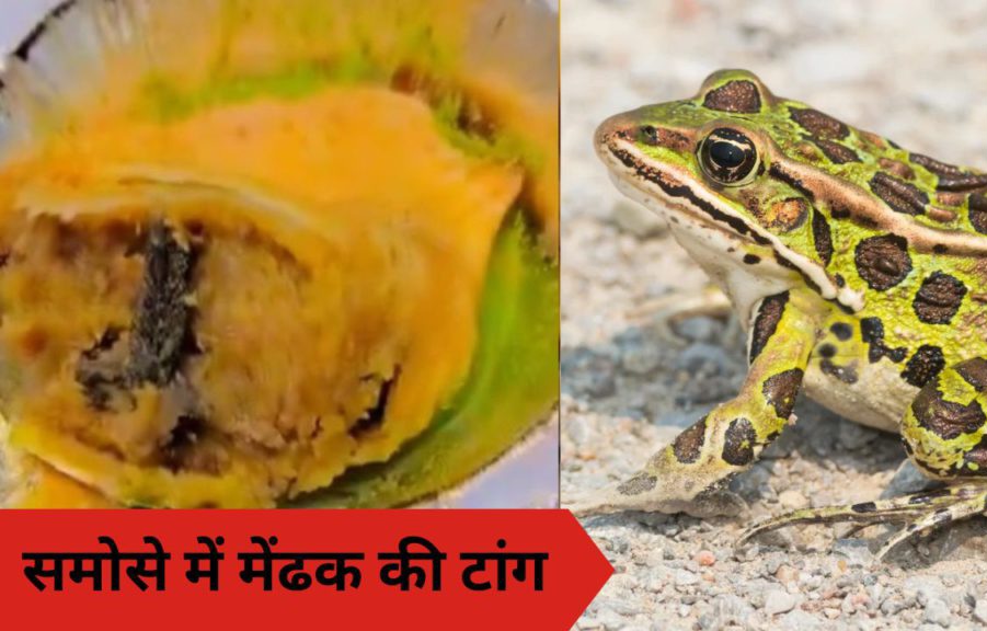 Ghaziabad Sweet News : 